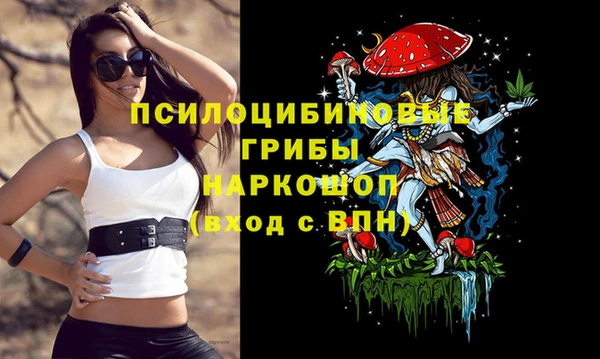 MESCALINE Алзамай
