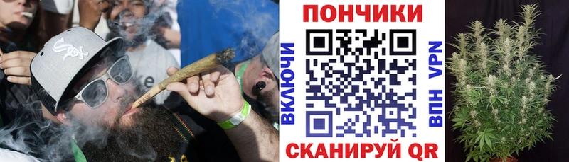 Бошки Шишки сатива  Андреаполь 
